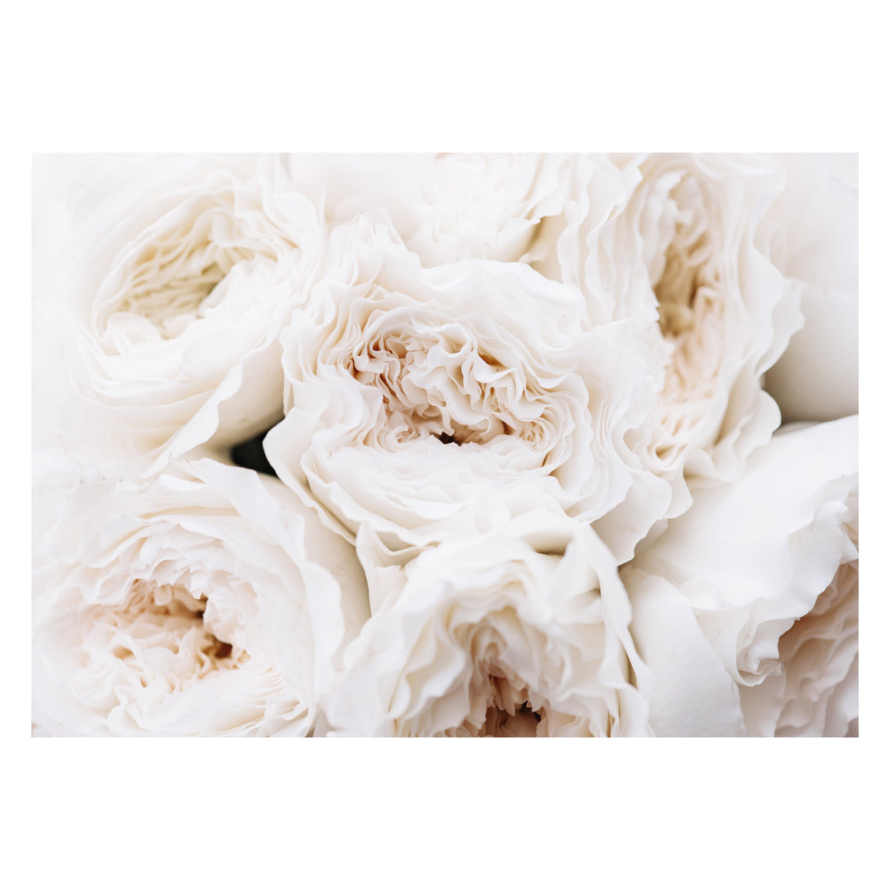 Peonies
