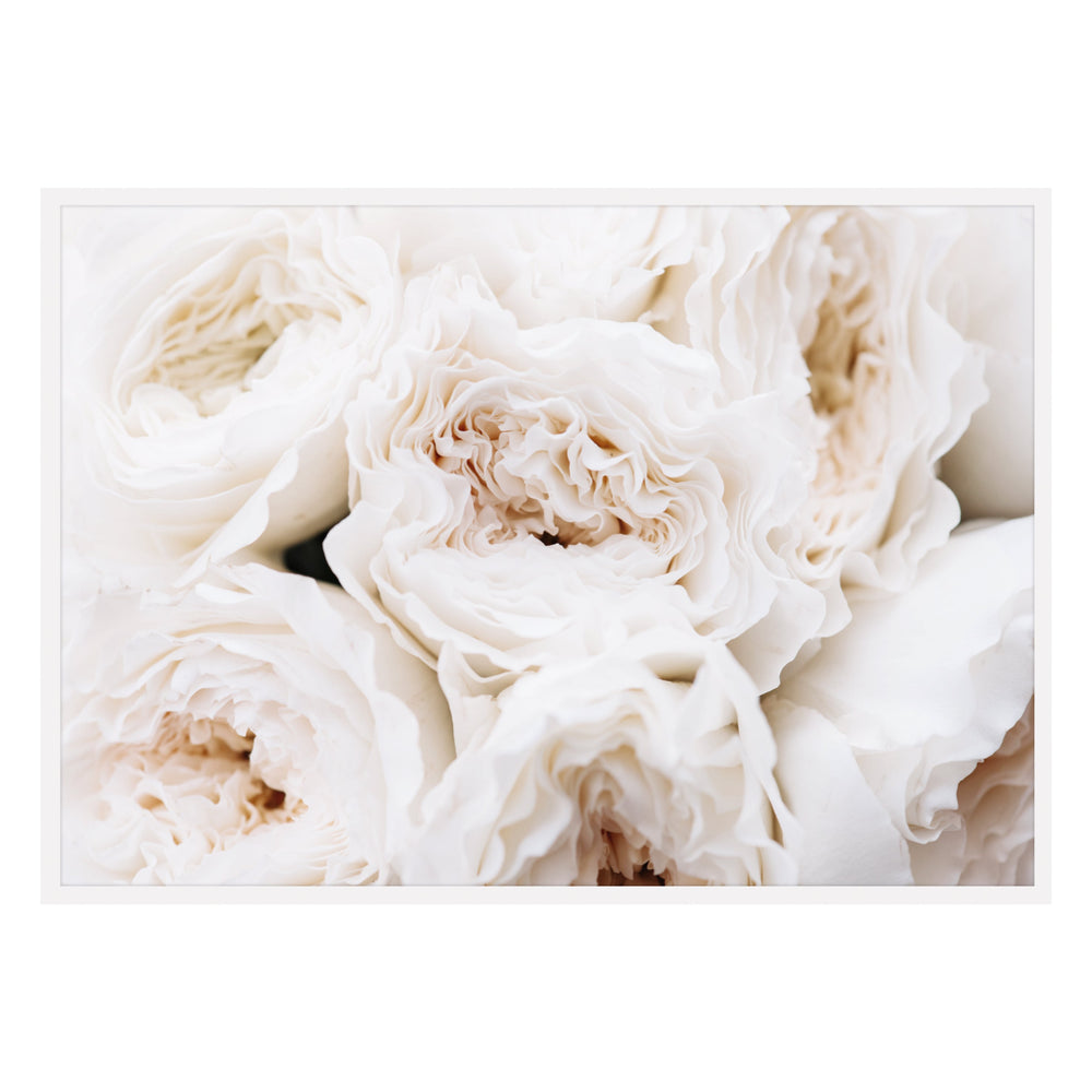 Peonies