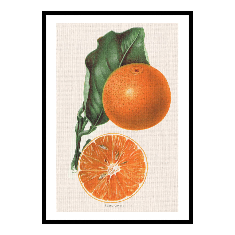 Vintage Orange