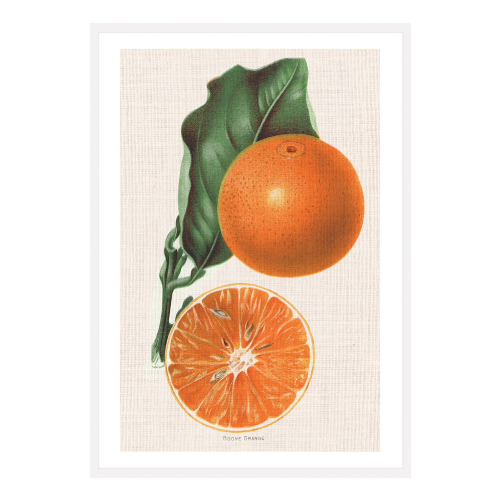 Vintage Orange