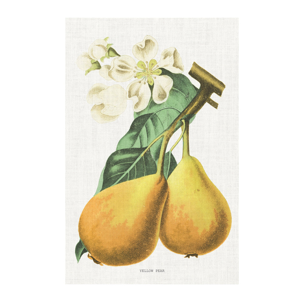 Vintage Pear