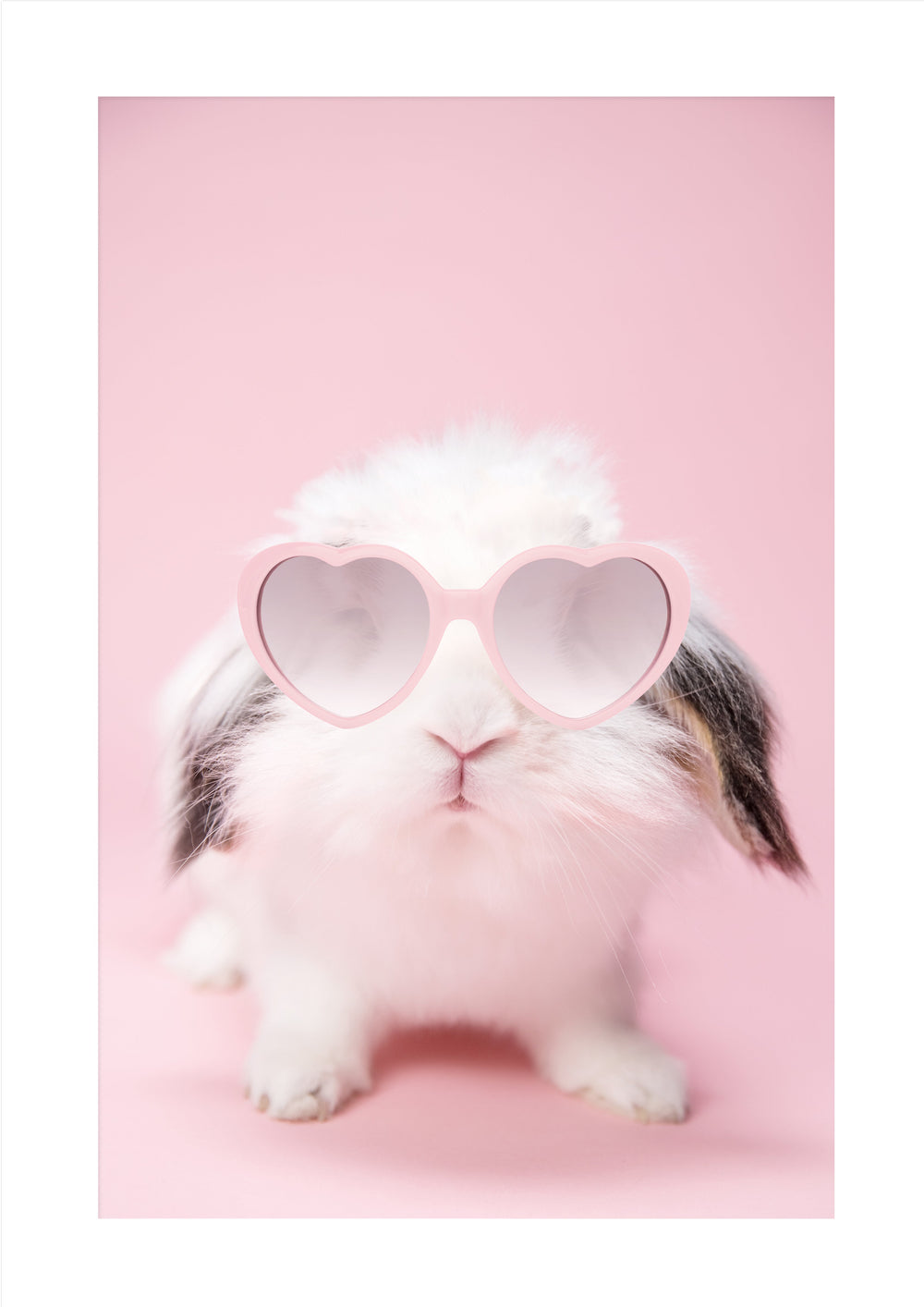 Love Bunny