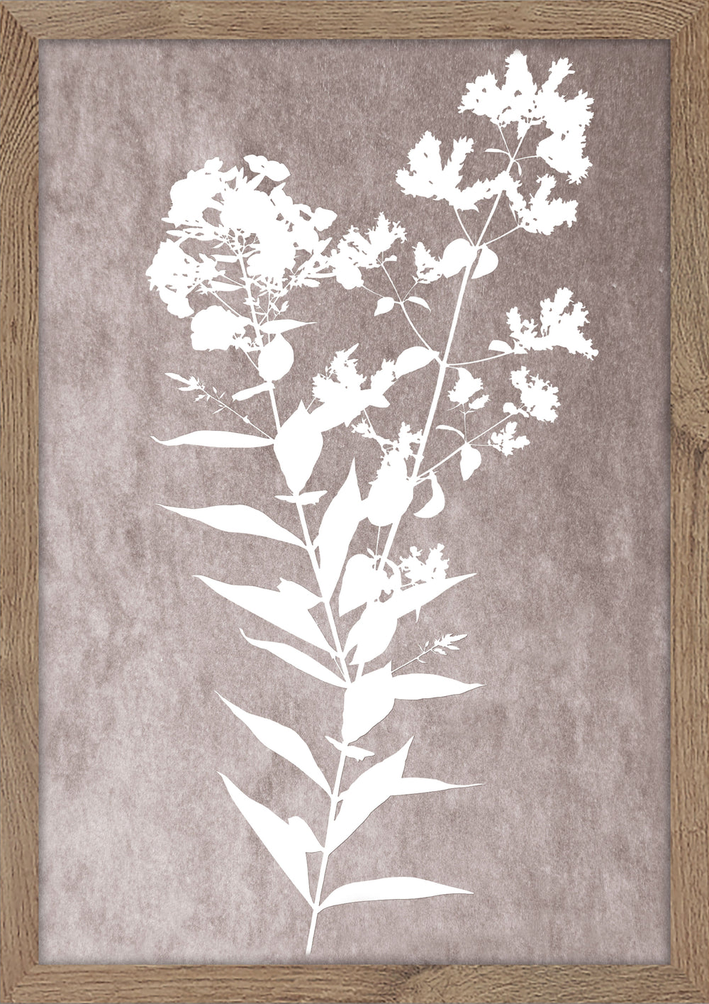 Delicate Botanical 1