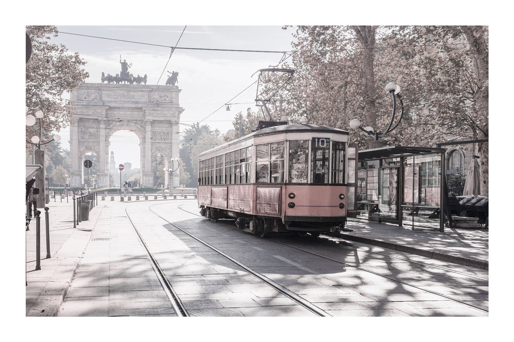 Pink City Tram