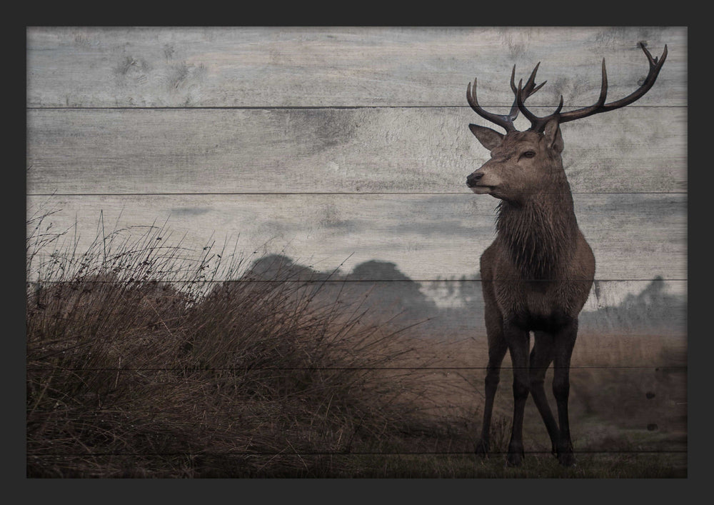 Stag Print