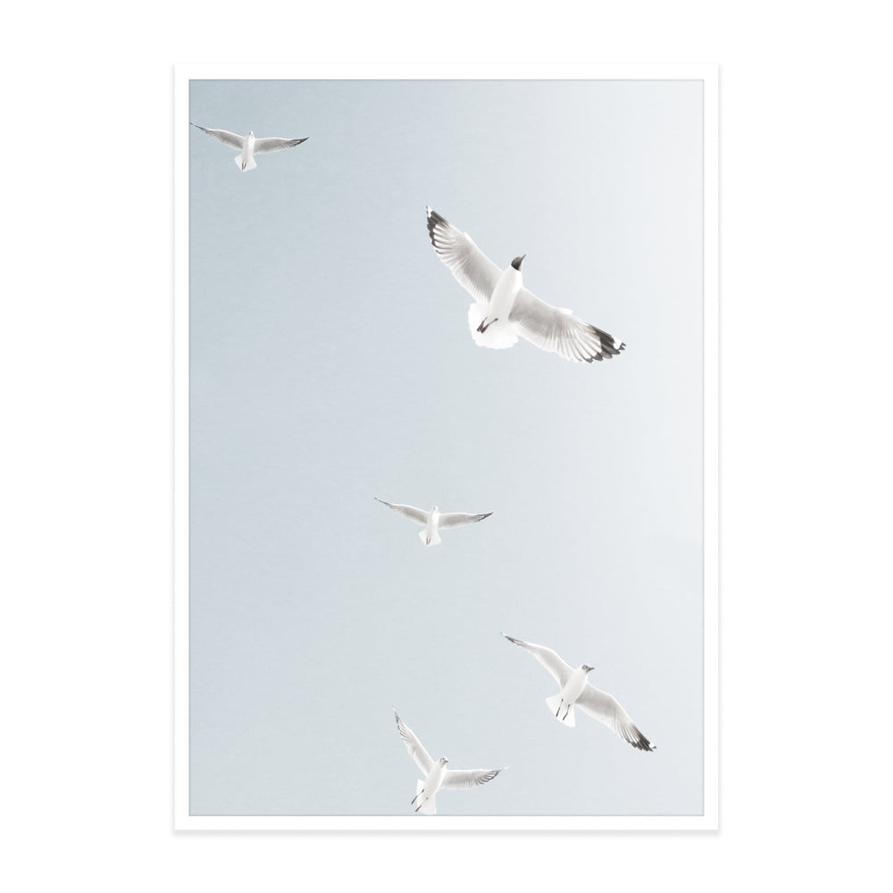 Fly Away