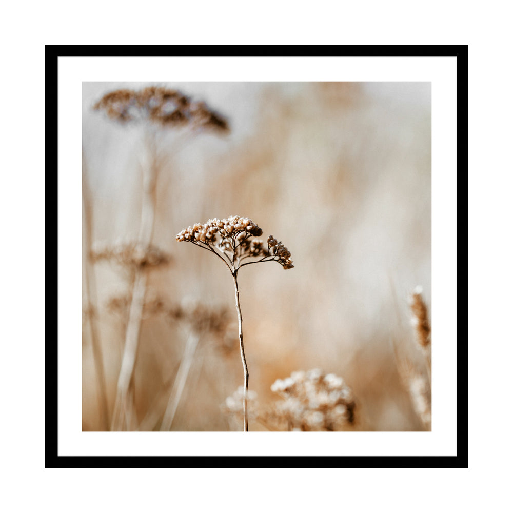 Autumn Flowers Photographic Print