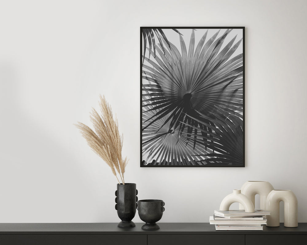 Palm Shadows 01