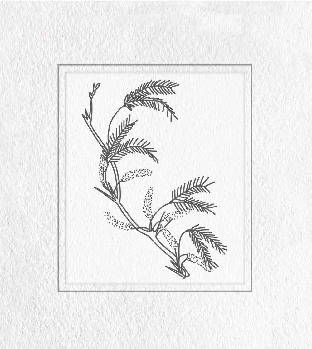 Classical Botanical Study 3