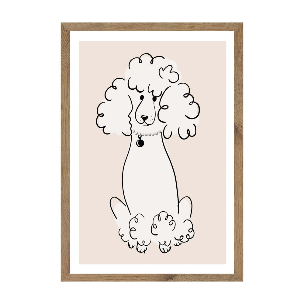 Pretty Poodle