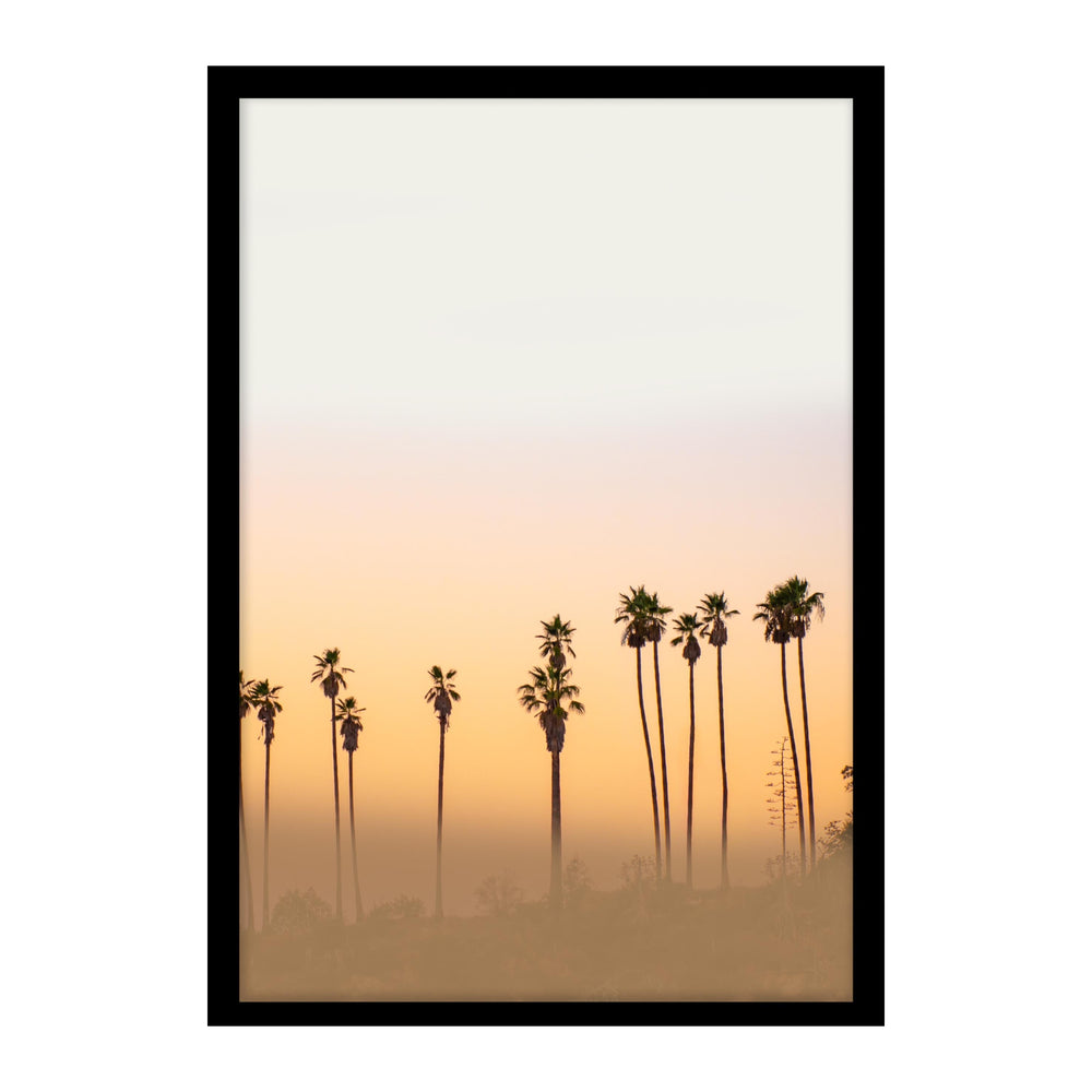 Miami Sunrise