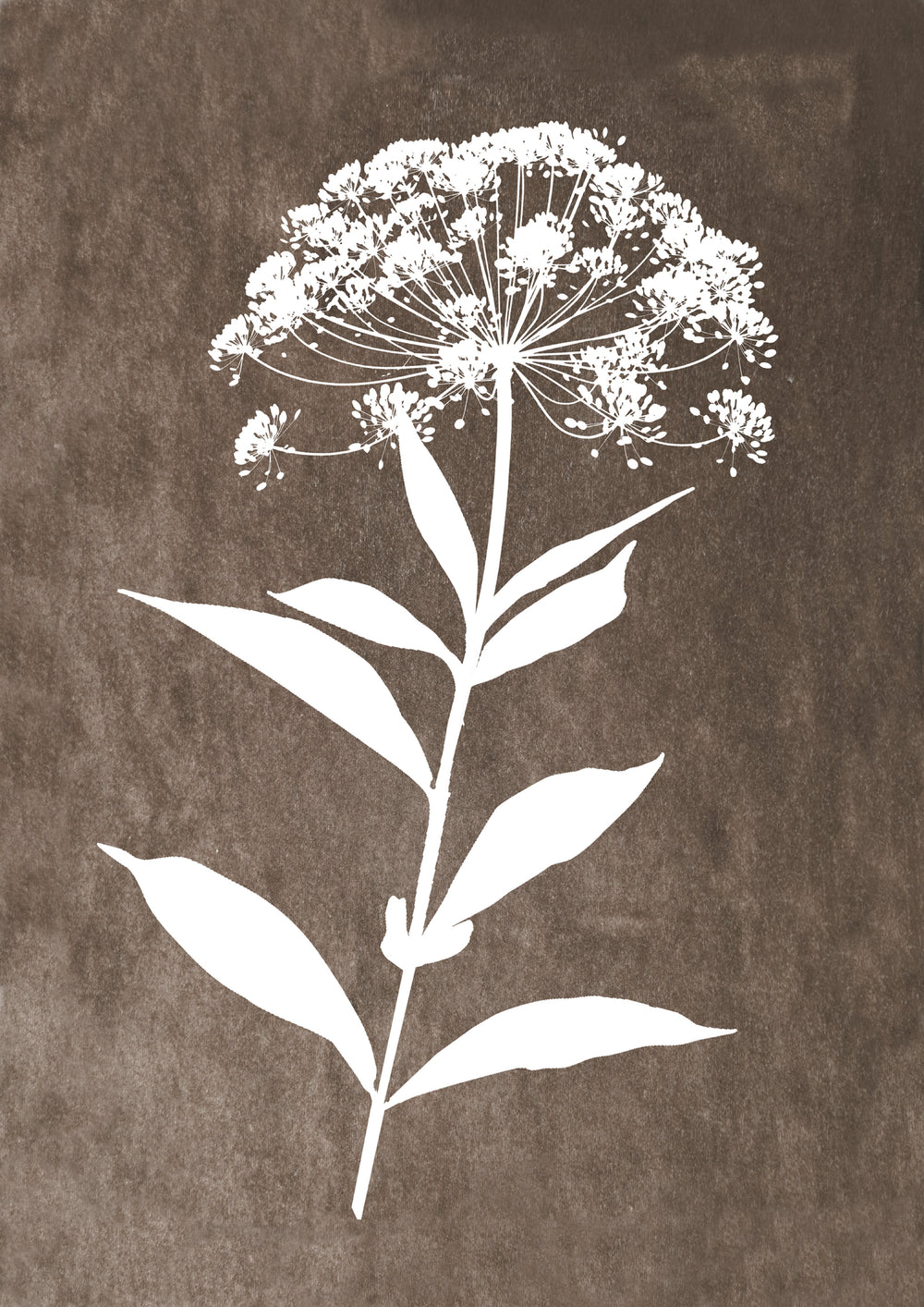 Delicate Botanical 2