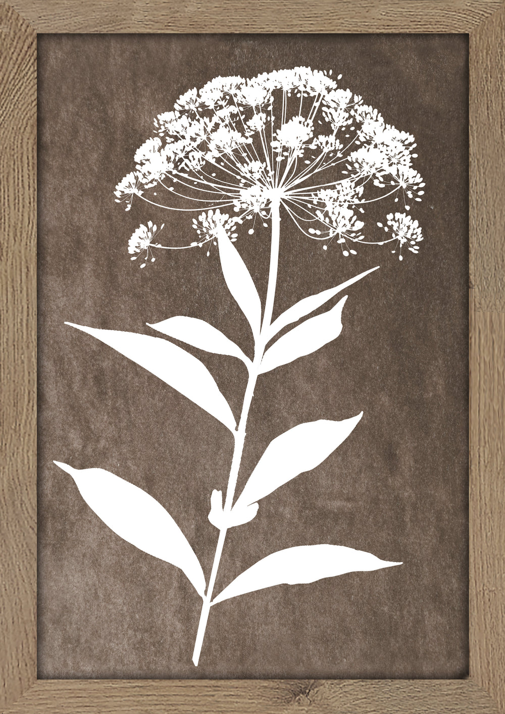 Delicate Botanical 2