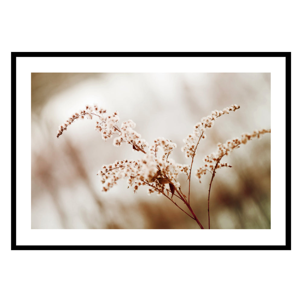 Blossom Flower