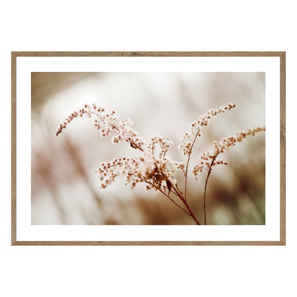 Blossom Flower