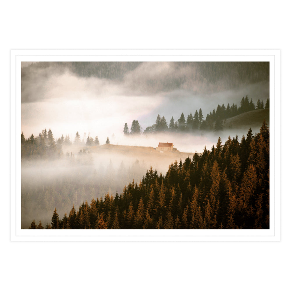 Forest House