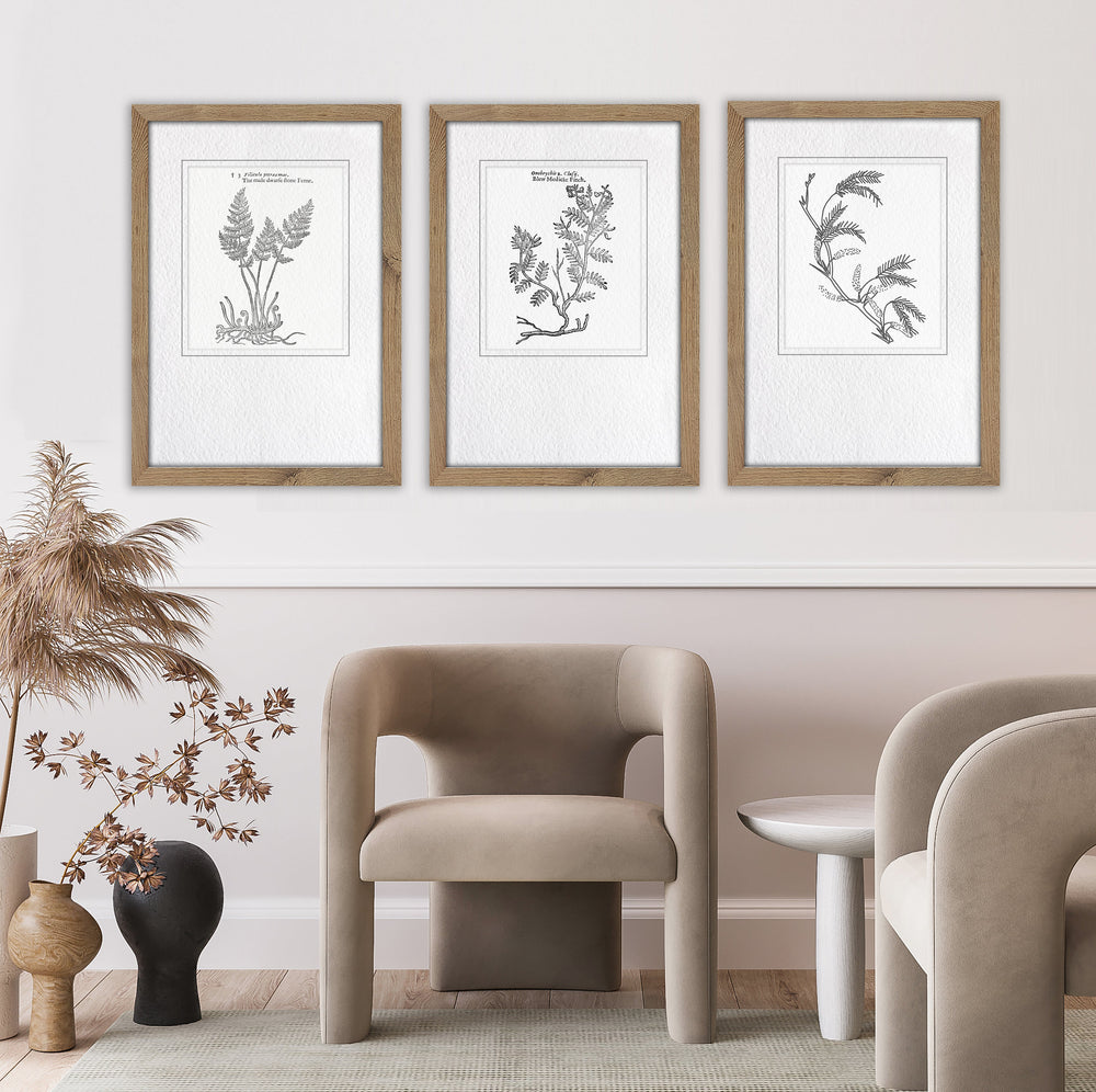Classical Botanical Study 2
