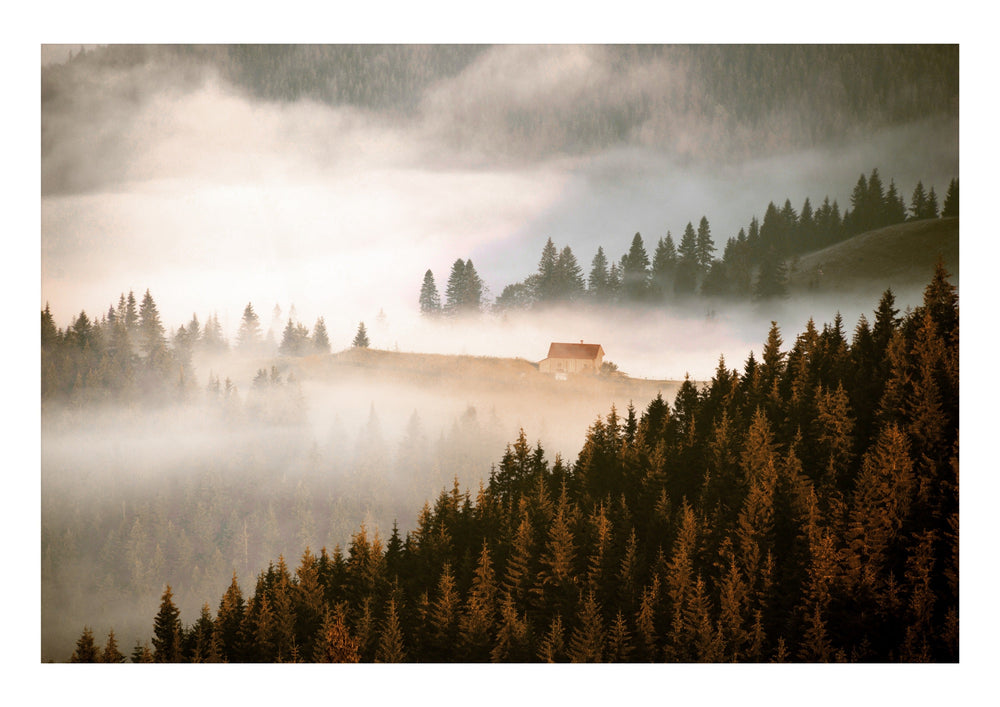 Forest House