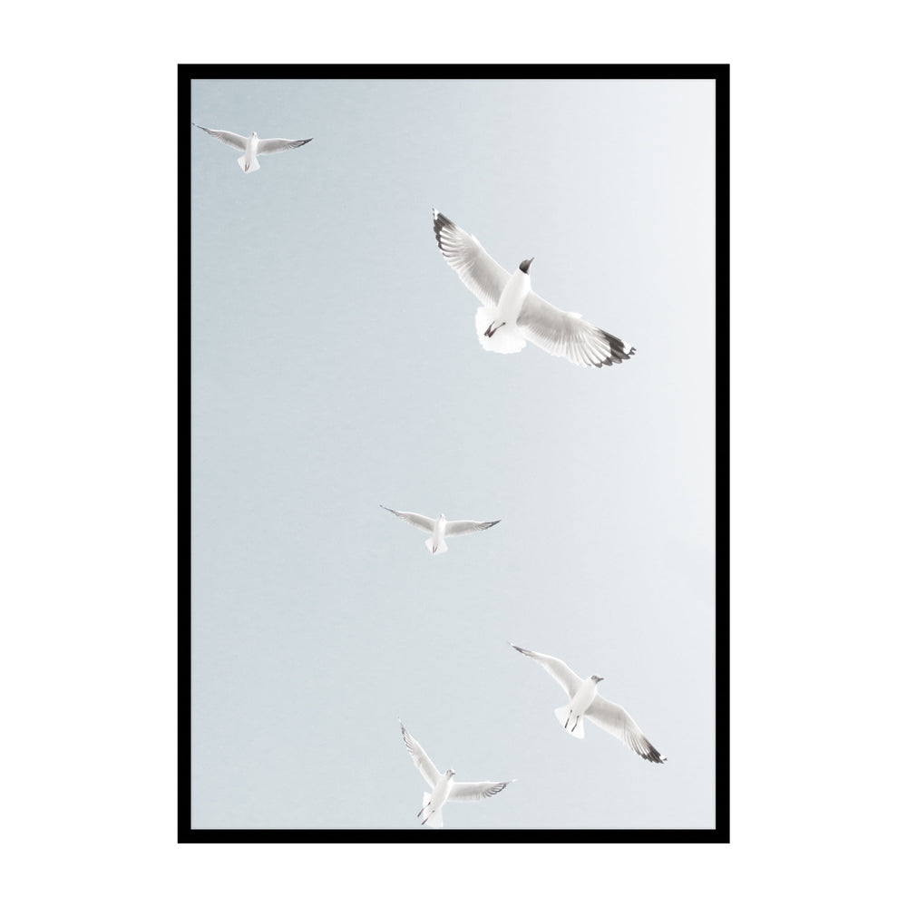 Fly Away