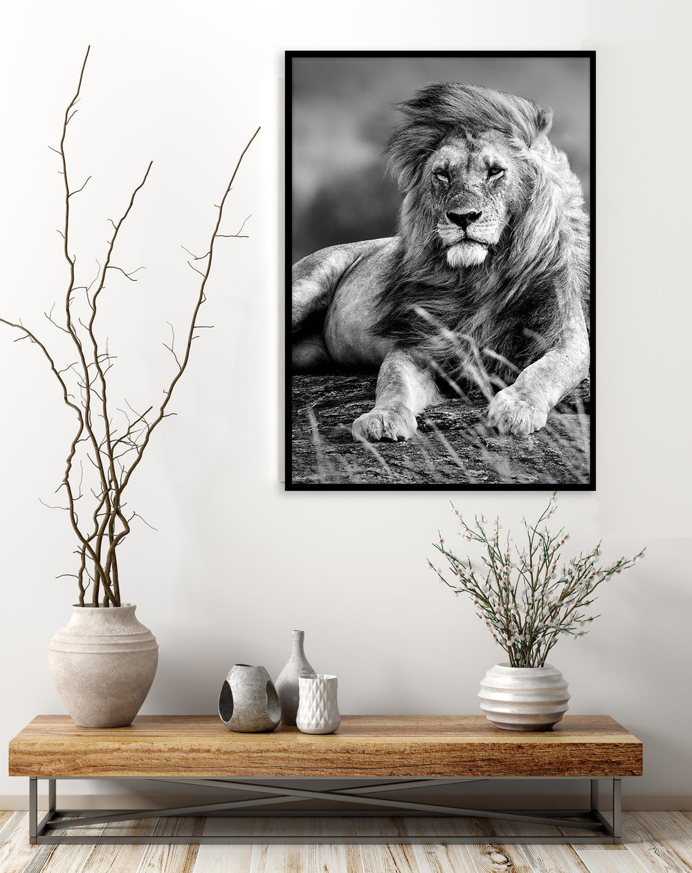 Black & White Lion
