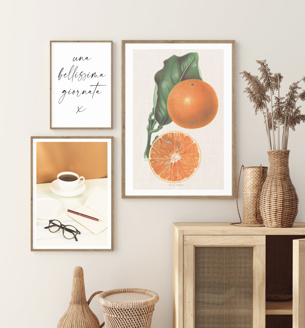 Vintage Orange