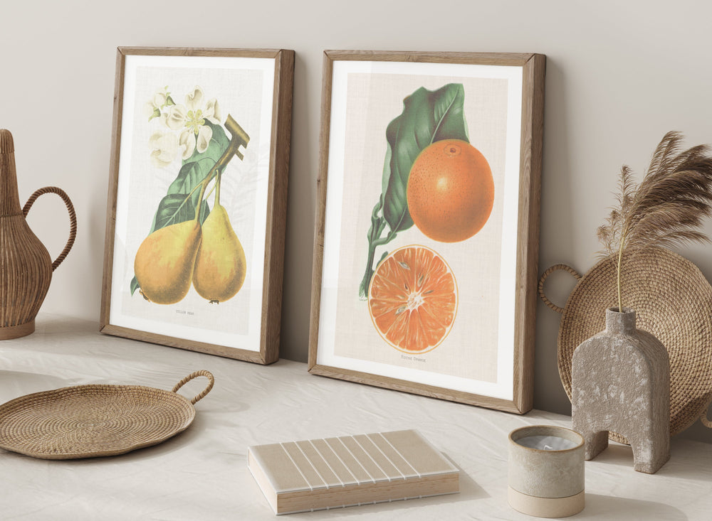 Vintage Orange